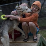 Georgetown Animal Shelter