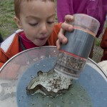 Archaeology Day