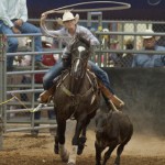Taylor Rodeo