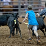 Taylor Rodeo
