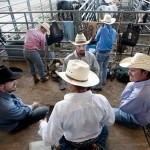 Taylor Rodeo