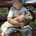 Free Pet Adoptions