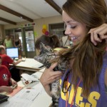 Free Pet Adoptions