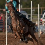 Clayman Rodeo