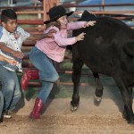 Clayman Rodeo