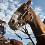 Clayman Rodeo