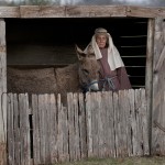 Immanuel Live Nativity
