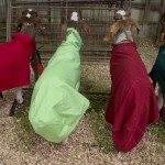 Livestock Show