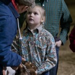 Livestock Show