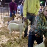 Livestock Show