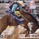 2014 Taylor Rodeo