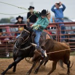 2014 Clayman Rodeo