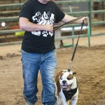Texas Bulldogge Derby