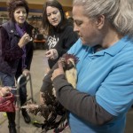 Chicken Seminar