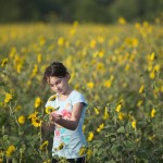 Field of sunflowers