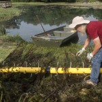 Berry Springs Pond Cleanup