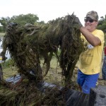 Berry Springs Pond Cleanup