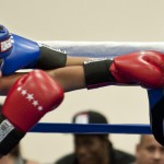 2015 Sterling Gloves Boxing