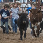 2015 Clayman Rodeo