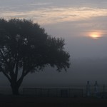 A Foggy Morning Begins