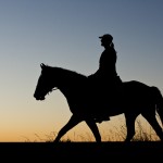 Evening Horseback Ride