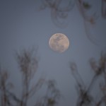 Full Moon Over Murphy Park