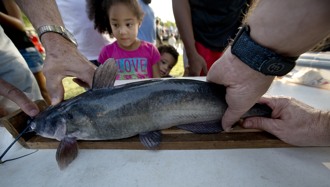 Weighing the catch at Kidfish in Taylor, Texas.