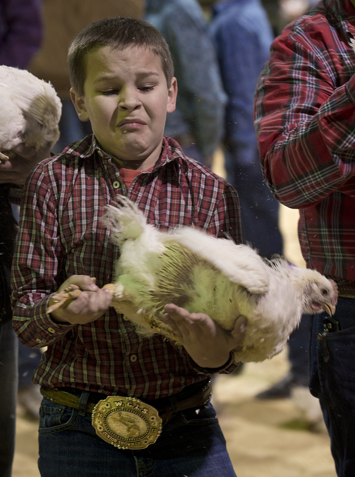 Holding onto his chicken at the 2016 Livestock Show.