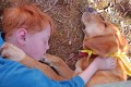 Pet Fair 1