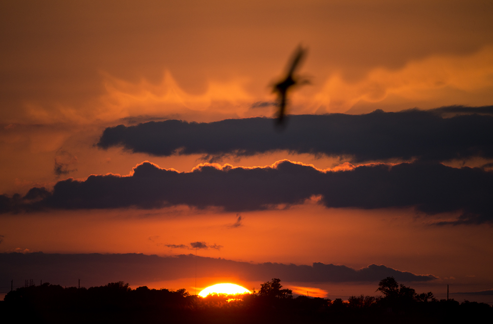 2016 April Sunset