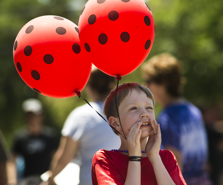 2016 Red Poppy Festival
