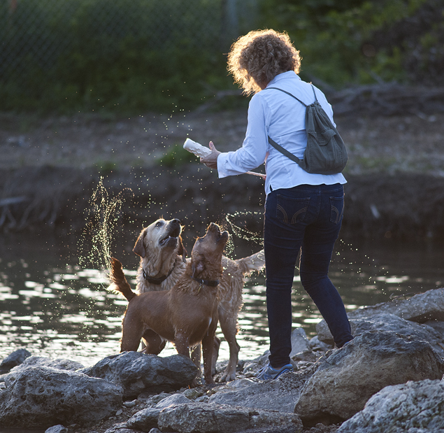 Canine River Fun