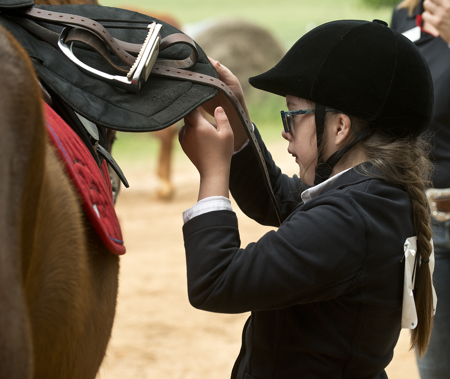 Equestrian Special Olympics