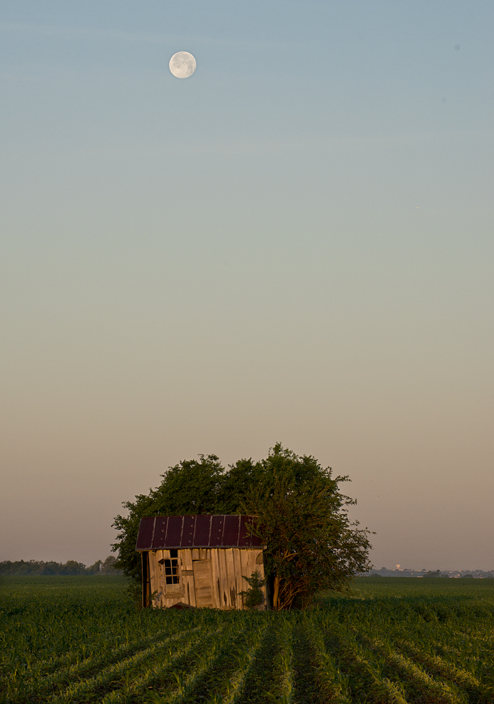 Full Moon at Sunrise