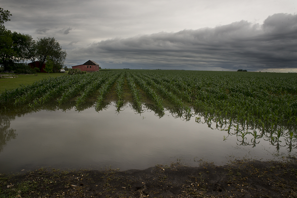 Wet Wilco Fields & Roads