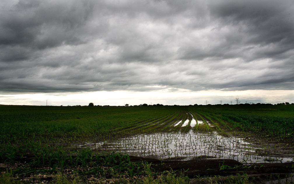 Wet Wilco Fields & Roads