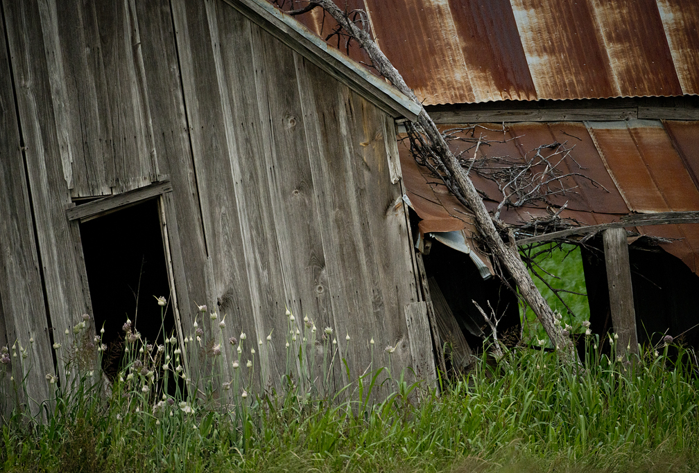 Dirt Road & Old House