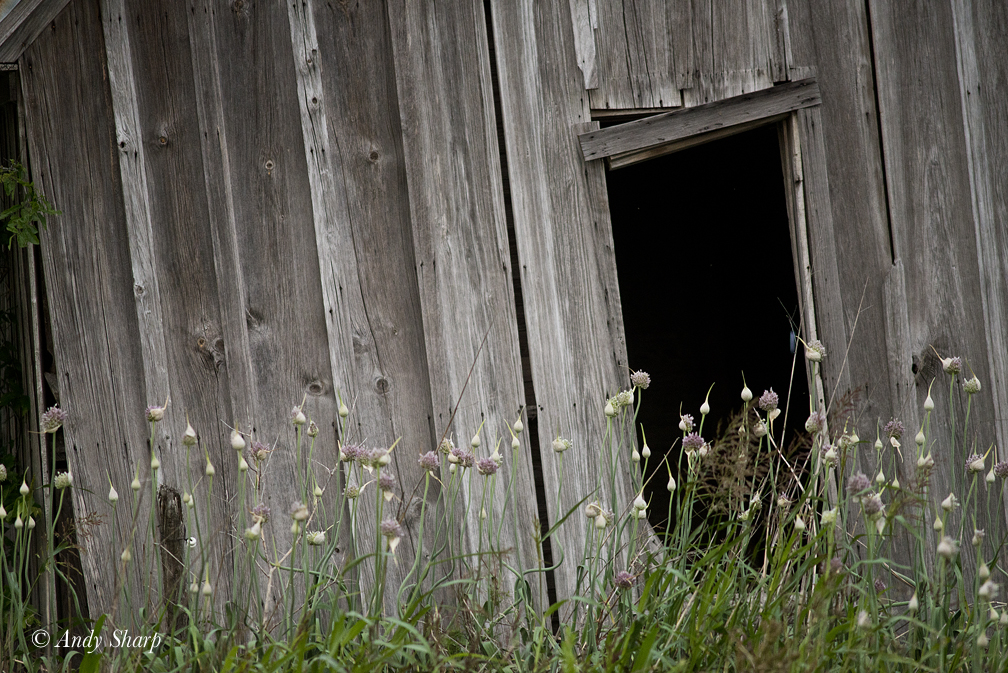 Dirt Road & Old House