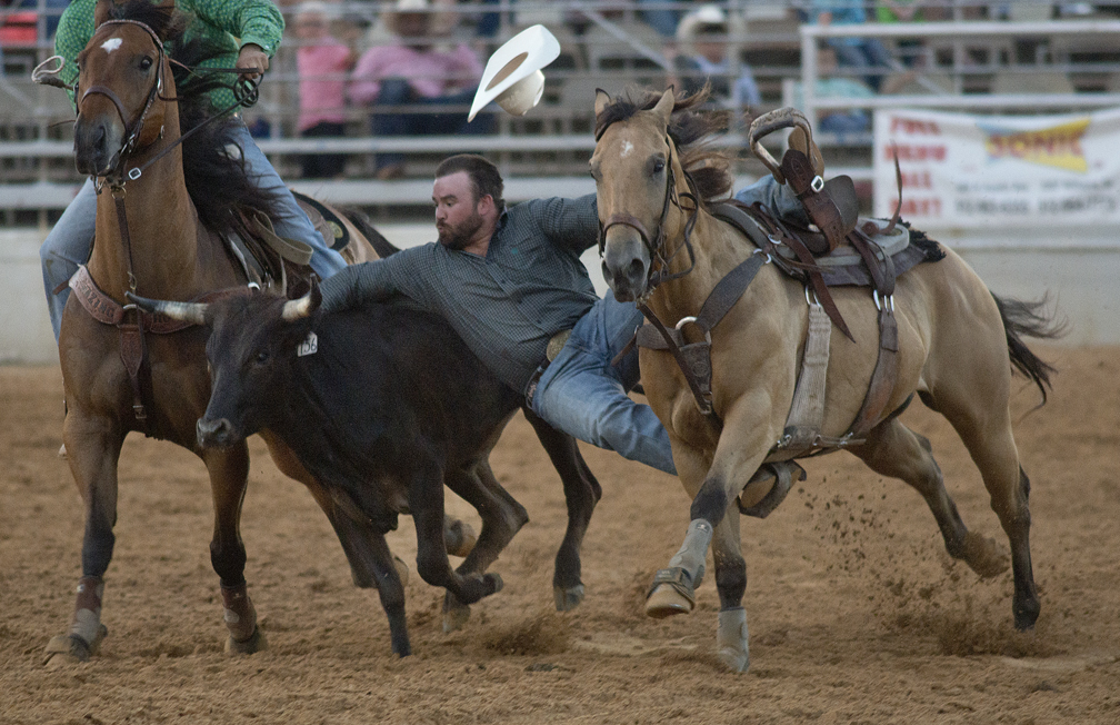 2016 Georgetown Rodeo