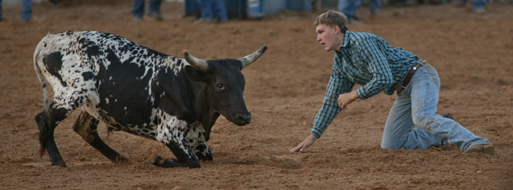 2016 Georgetown Rodeo