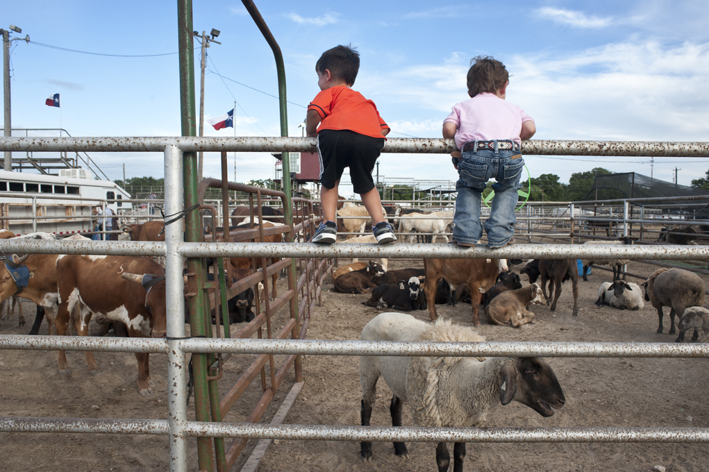 2016 Georgetown Rodeo