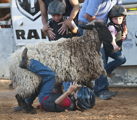 2016 Georgetown Rodeo