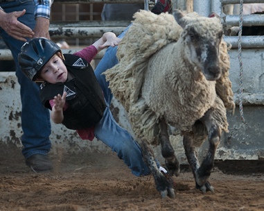 2016 Georgetown Rodeo