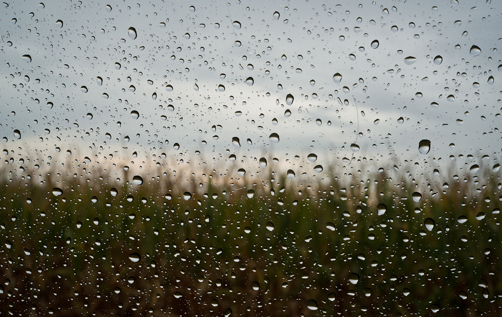2016 Rainy June Day