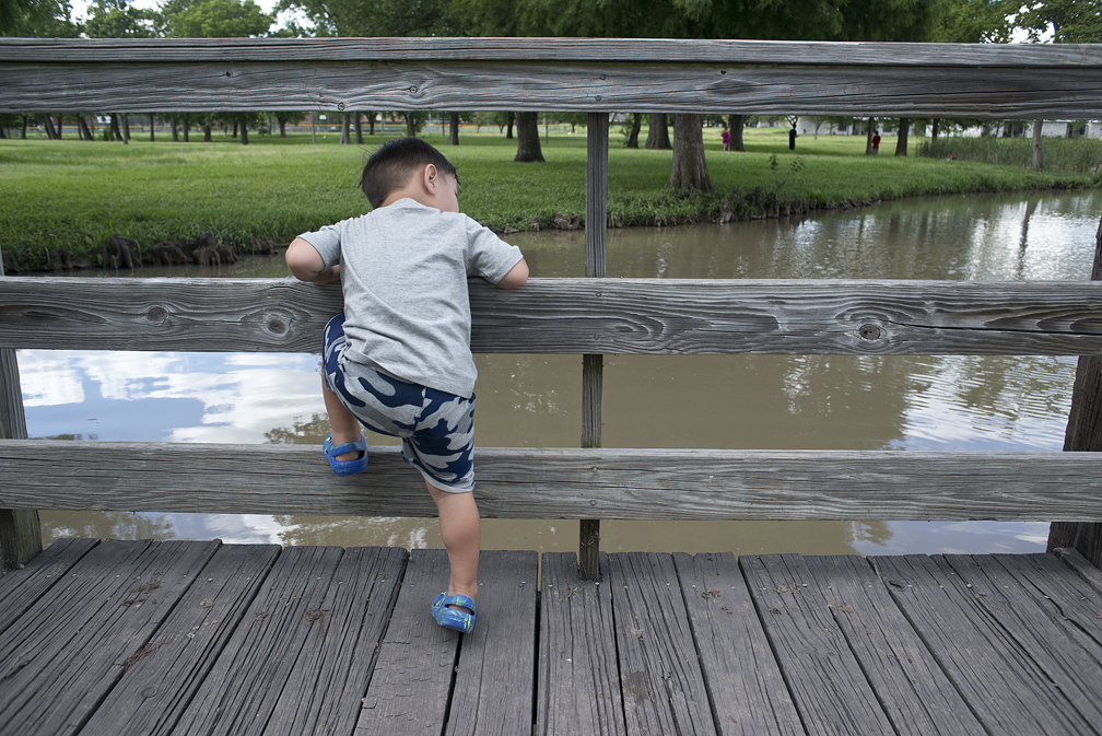 Cameron & Ducks