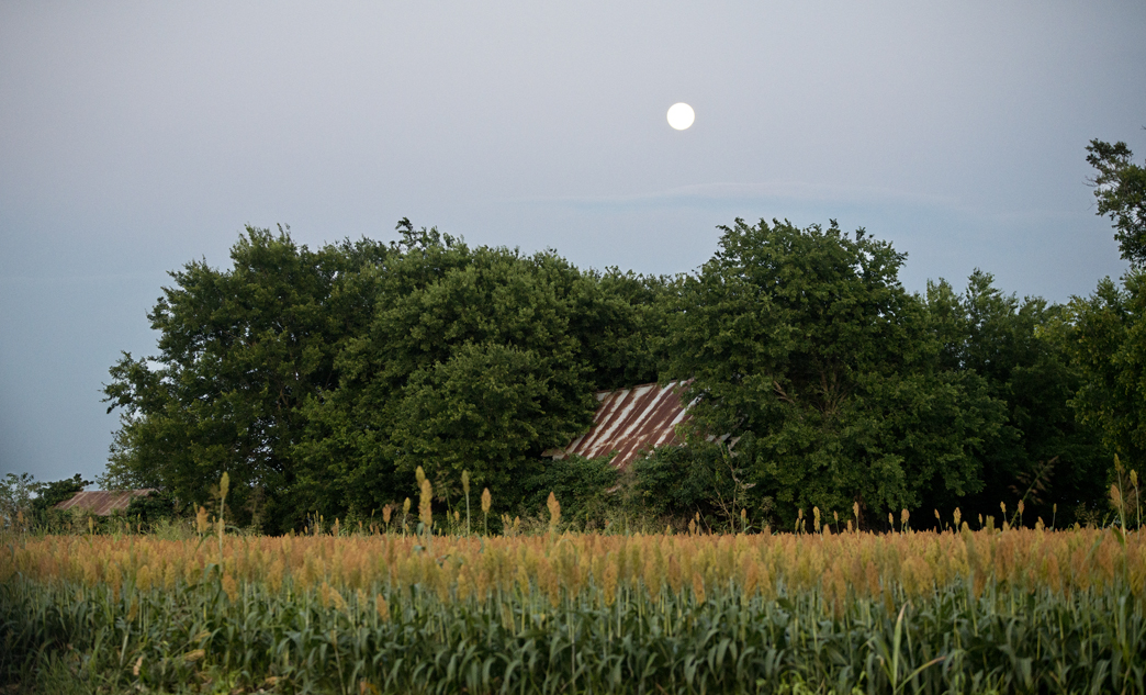 Hay, Sunset & Moon
