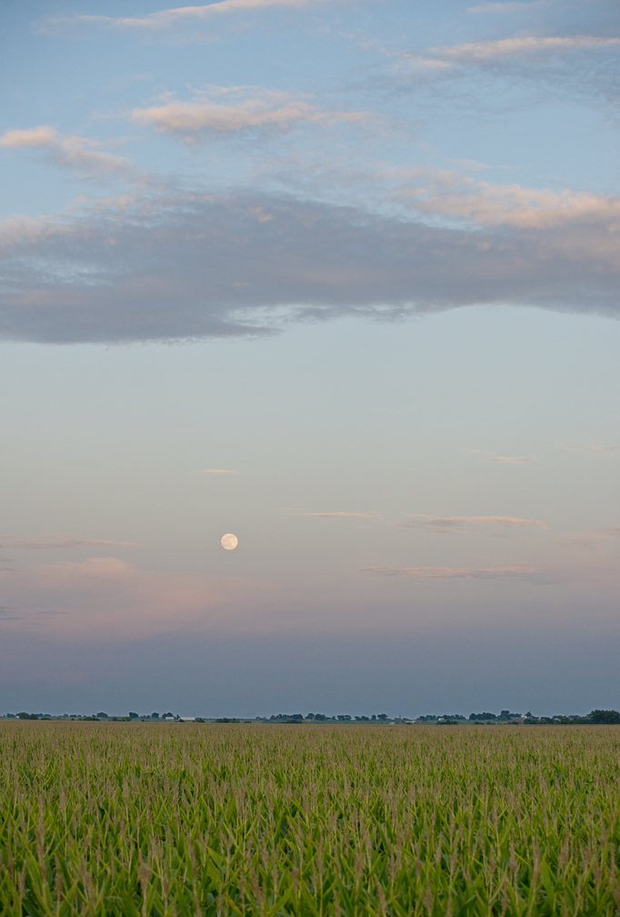 Hay, Sunset & Moon