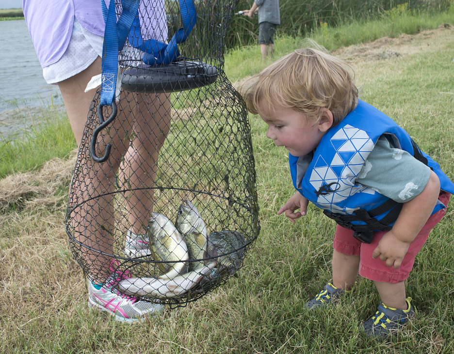 Fish-a-rama
