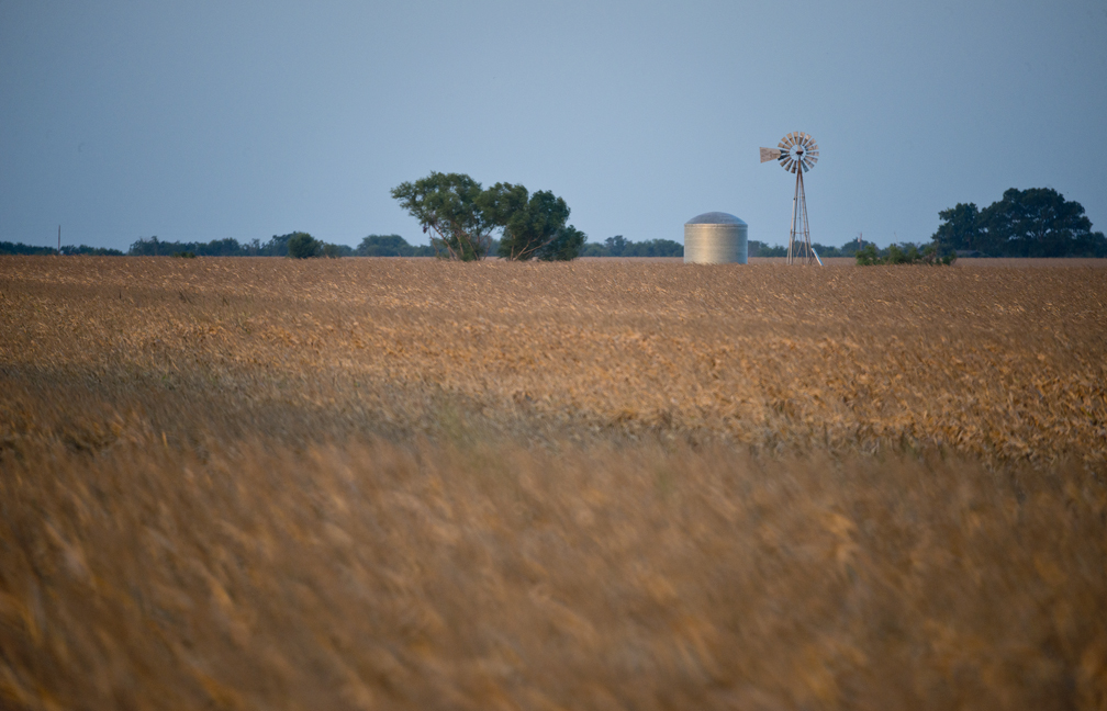 Corn Fields on C.R. 418