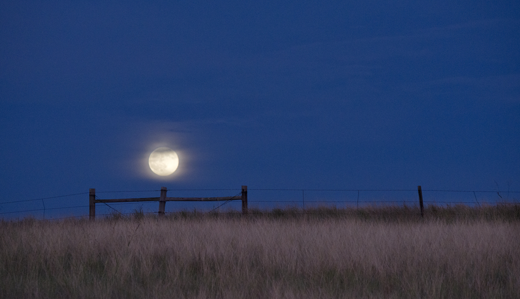 Coupland Sunset & Moon